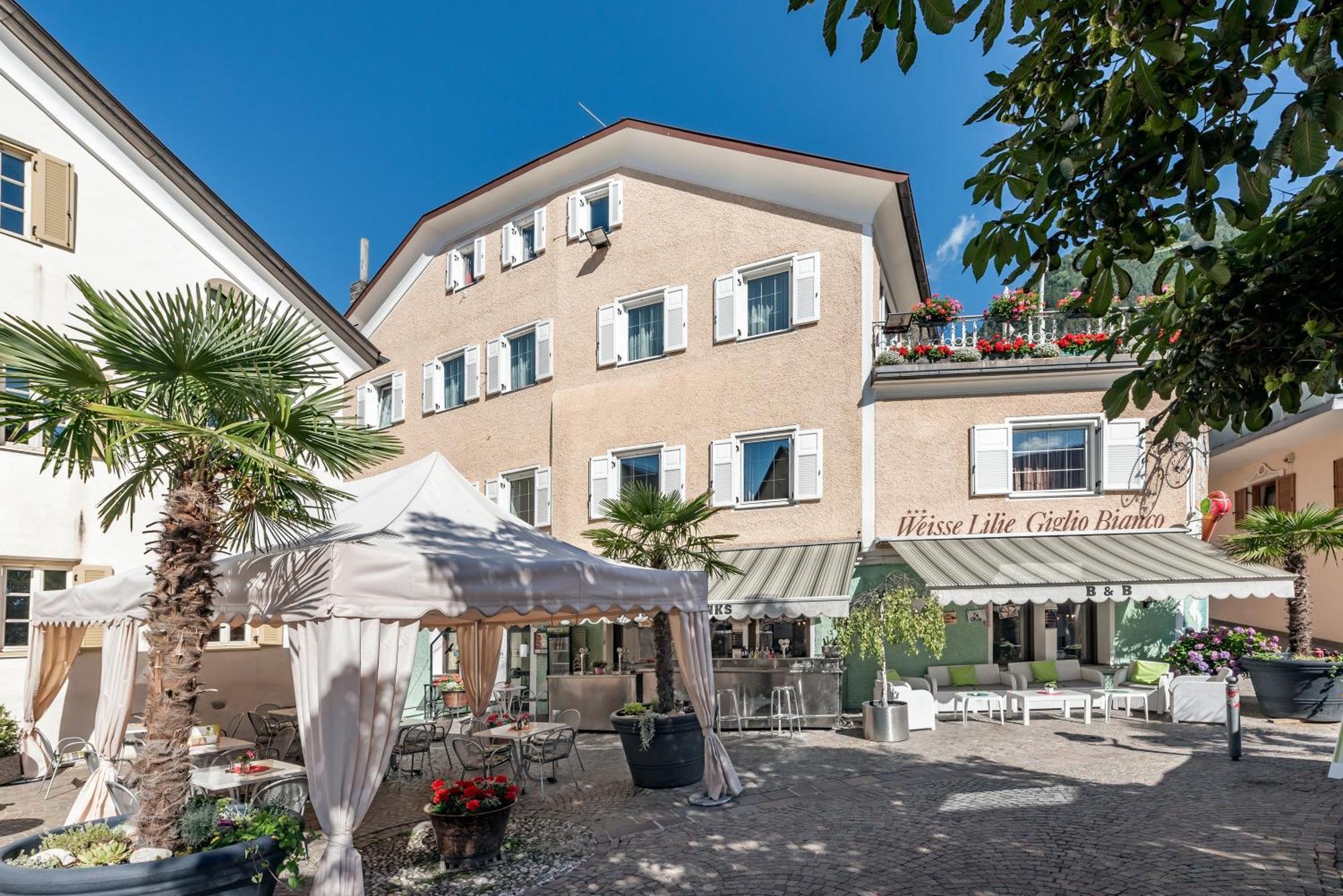 Hotel Weisse Lilie - B&B Rio di Pusteria Værelse billede